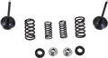 A set of engine valve components arranged neatly on a white background, including two valves, four springs of varying size, two metal retainers, and four circular seals or washers. The components are evenly spaced and symmetrically organized.