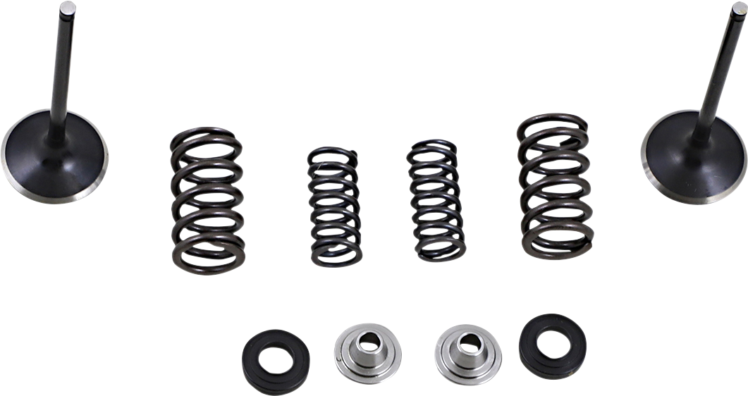 A set of engine valve components arranged neatly on a white background, including two valves, four springs of varying size, two metal retainers, and four circular seals or washers. The components are evenly spaced and symmetrically organized.
