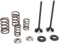 A set of engine valve components on a white background, including two metal valves, three coiled springs of varying sizes, two metal retainers, and two black valve seals arranged neatly side by side.