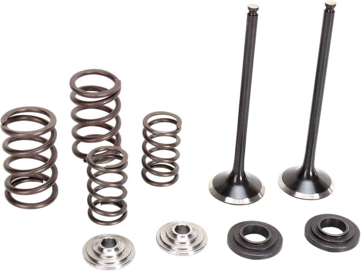 A set of engine valve components on a white background, including two metal valves, three coiled springs of varying sizes, two metal retainers, and two black valve seals arranged neatly side by side.