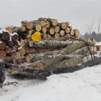 Universal Cargo Sled