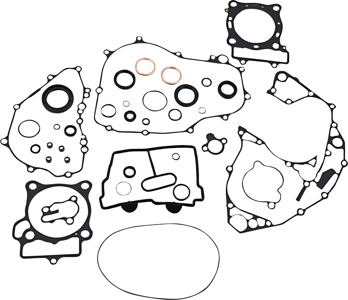 A set of 10 various black engine gaskets and several small copper, black, and silver rings, all laid out on a white background. The gaskets have different shapes and hole patterns, designed for sealing engine components.