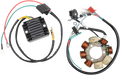 Two motorcycle electrical components: on the left, a black voltage regulator with attached red, green, and yellow wires; on the right, a round stator with copper coils, black wiring, connectors, and mounting hardware, all on a white background.