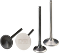 Four metal engine valves are shown upright on a white background. The left two are darker with flat, round heads (one engraved with KPMI), while the right two are shinier, with reflective surfaces and slightly flared bases.
