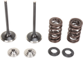 A set of engine components on a white background: two metal valves, two coil valve springs, two metallic retainers, and two dark-colored circular valve locks, all neatly arranged in pairs.