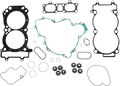 A collection of various engine gaskets and seals, including head gaskets, valve cover gaskets, O-rings, cylinder head seals, and other shaped rubber and metal components arranged on a white background.