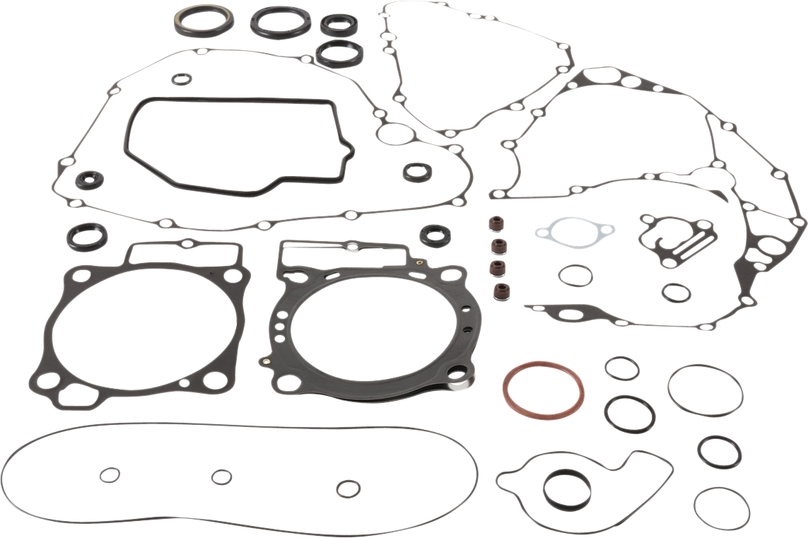 A set of various automotive gaskets, O-rings, and seals of different shapes and sizes, all laid out on a white background. The items include circular, oval, and irregularly shaped gaskets, used for engine or mechanical system sealing.