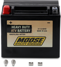 Factory-Activated AGM Maintenance-Free Battery