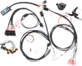 A vehicle wiring harness kit is shown with multiple black cables, connectors, switches, labeled wires, and electronic components arranged on a white background. Some connectors have pink tips, and there are small accessories like fuses and switches includ