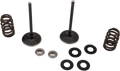 Two metal engine valves stand upright, each paired with a coil spring, a metal washer, and two circular black gaskets. All components are neatly arranged on a white background, highlighting their individual shapes and mechanical function.