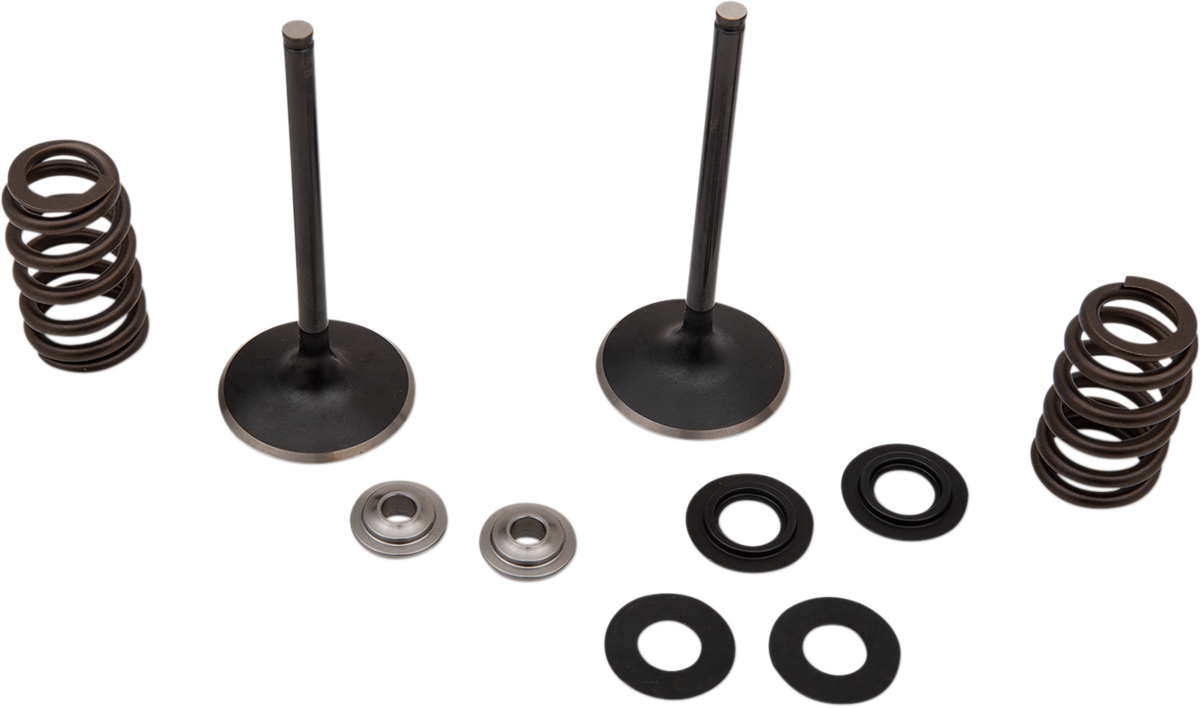 Two metal engine valves stand upright, each paired with a coil spring, a metal washer, and two circular black gaskets. All components are neatly arranged on a white background, highlighting their individual shapes and mechanical function.