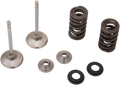 Seven engine valve components arranged on a white background: two metal valves with long stems, two coiled valve springs, two circular valve retainers, and one round valve seal, all organized neatly in separate groups.