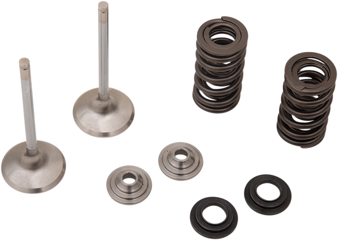 Seven engine valve components arranged on a white background: two metal valves with long stems, two coiled valve springs, two circular valve retainers, and one round valve seal, all organized neatly in separate groups.