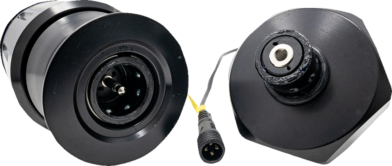 Whip Lights - 24"