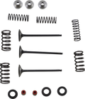 Valve and Spring Kit - Yamaha WR250F | YZ250F