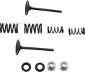 Valve and Spring Kit - Kawasaki KX450F