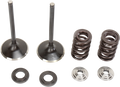 Valve and Spring Kit - KTM 250SX-F | 250XC-F | 250 XCF-W