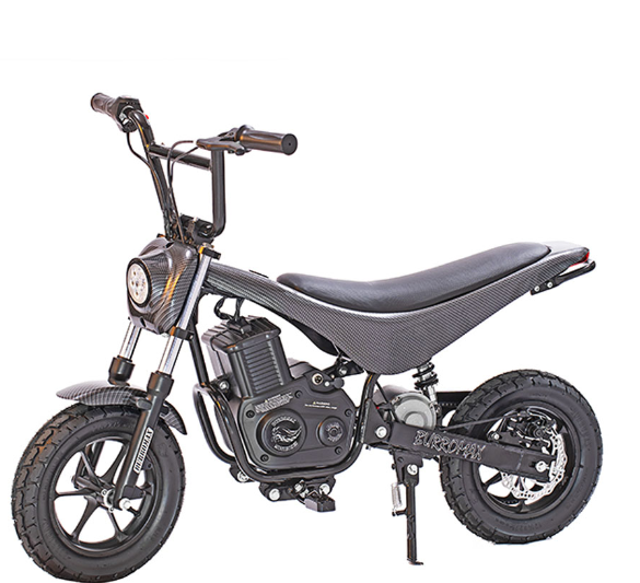 Electric Mini Bike, TT750R Lithium Ion Powered