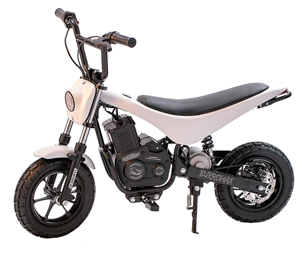 Electric Mini Bike, TT750R Lithium Ion Powered