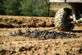 A close-up of the Heavy Duty Commercial Grade Chain Harrows w/ 4 Draw Bar by Tarter Farm and Ranch Equipment, attached to an off-road vehicle on dry, tilled soil. The harrow’s spikes face upward; blurred green plants appear in the background.