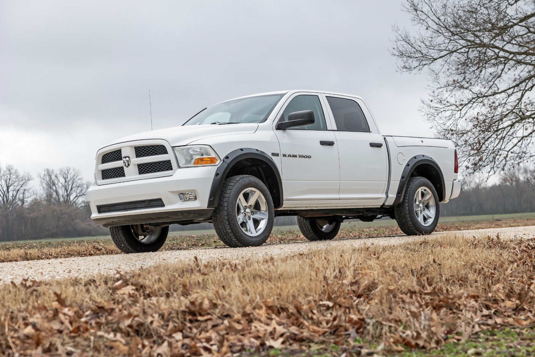 Pocket Fender Flares | PSC Billet Silver | Ram 1500 2WD/4WD (2010-2018 & Classic)