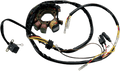 Stator - Polaris - Offroad Armor