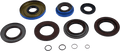Transaxle Bearing/Seal Kit - Polaris - Offroad Armor