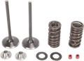 Valve and Spring Kit - Honda CRF250X | CRF250R - Offroad Armor