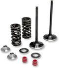 Valve and Spring Kit - Yamaha W250F | YZ250F - Offroad Armor